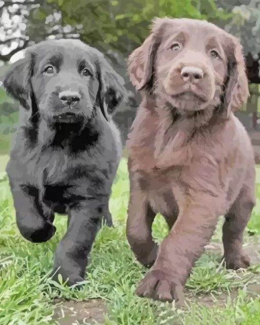 Black VS Chocolate Lab Puppies Diamond Painting