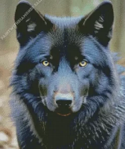 black wolf head Diamond Painting