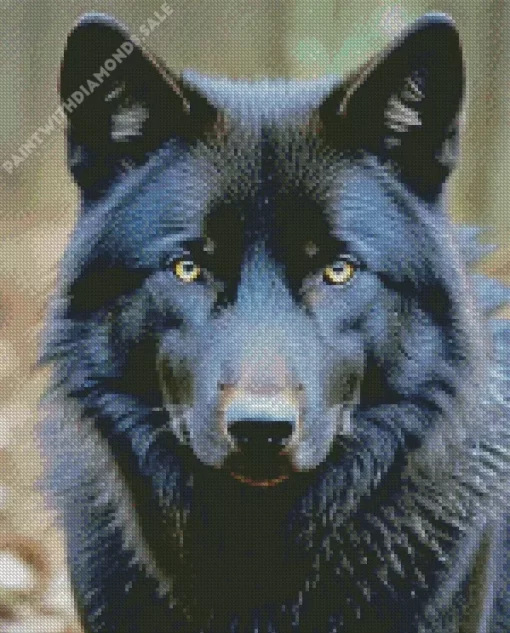 black wolf head Diamond Painting