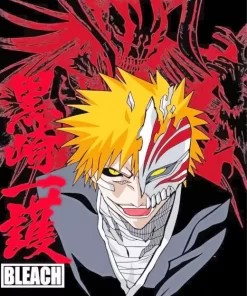 Bleach Ichigo Half Hollow Poster Diamond Painting