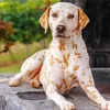 Blond Dalmatian Diamond Painting