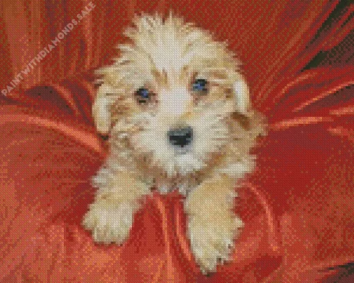 Blond Morkie Dog Diamond Painting