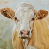 Blonde Cow Art Diamond Painting