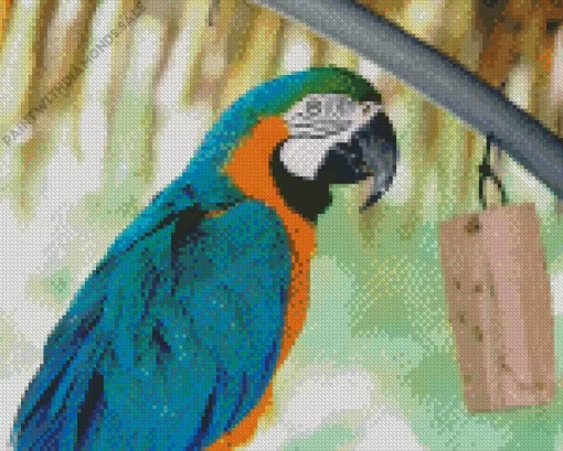 Blue And Gold Macaw Diamond Painting