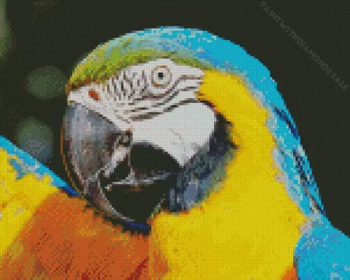 Blue And Gold Macaws Diamond Painting