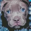 Blue Eyed Staffy Dog Diamond Painting