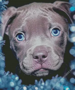 Blue Eyed Staffy Dog Diamond Painting