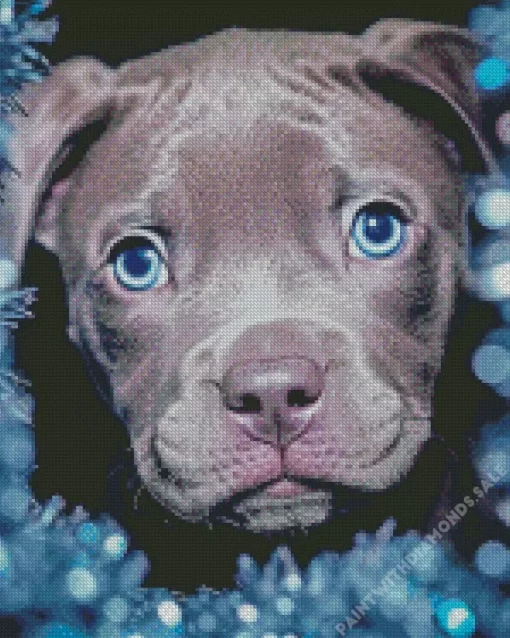 Blue Eyed Staffy Dog Diamond Painting