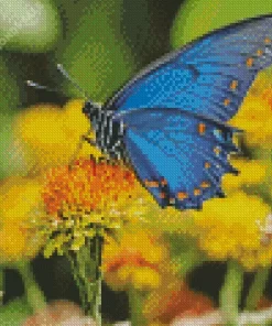 Blue Monarch Butterfly Diamond Painting