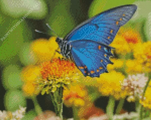 Blue Monarch Butterfly Diamond Painting