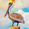 Brown Pelican Artwork Diamond Painting