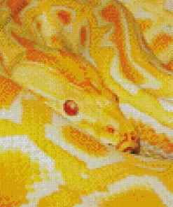 Burmese Yellow Python Diamond Painting