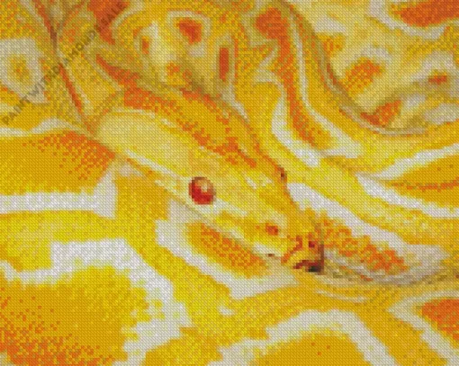 Burmese Yellow Python Diamond Painting