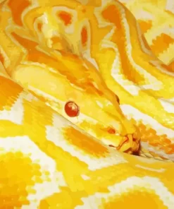 Burmese Yellow Python Diamond Painting