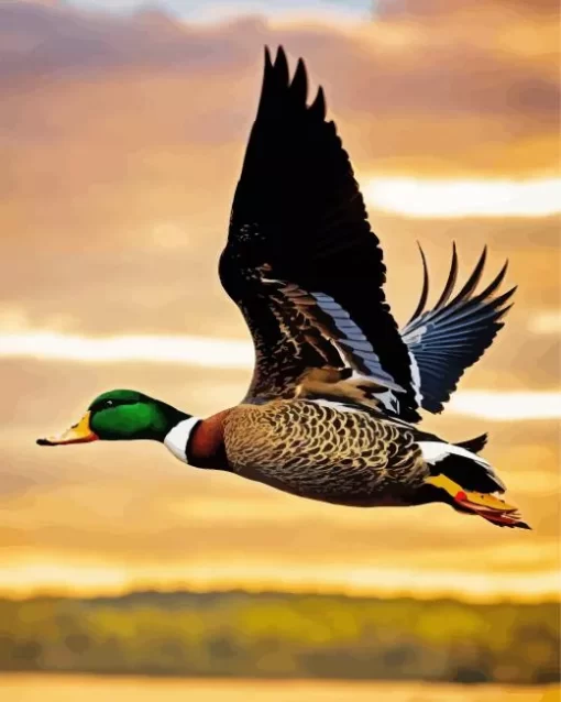 Closeup Duck Bird Flying Diamond Painting