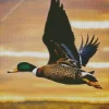 Closeup Duck Bird Flying Diamond Painting