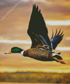 Closeup Duck Bird Flying Diamond Painting