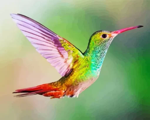 Colorful Hummingbird Diamond Painting