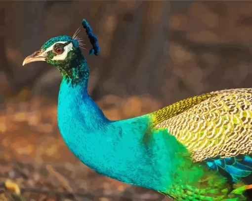 Colorful Peacock Bird Diamond Painting