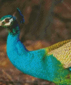 Colorful Peacock Bird Diamond Painting