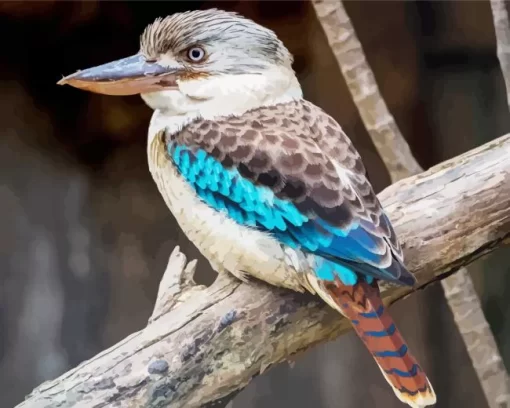 Cool Kookaburra Bird Diamond Painting