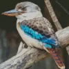 Cool Kookaburra Bird Diamond Painting