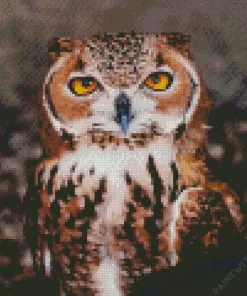 Cool Pharaoh Eagle Owl Diamond Painting