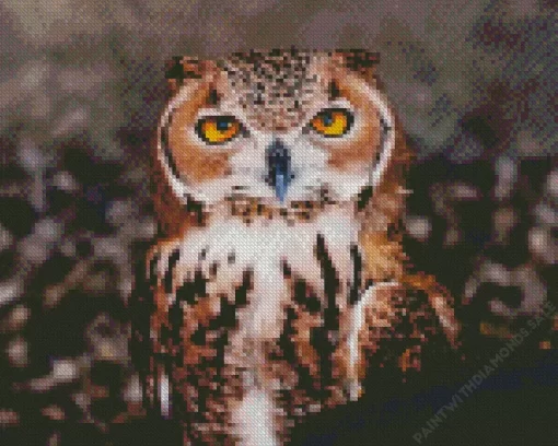 Cool Pharaoh Eagle Owl Diamond Painting