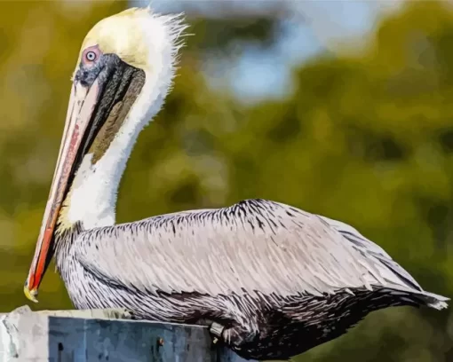 Cool brown pelican Diamond Painting