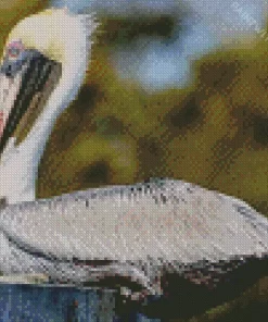 Cool brown pelican Diamond Painting