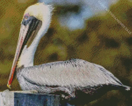 Cool brown pelican Diamond Painting