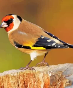 Cool European Goldfinch Diamond Painting