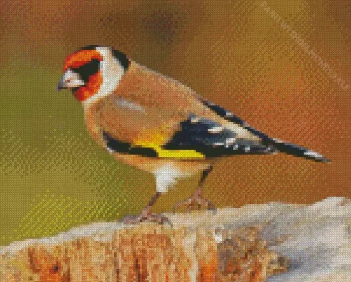 Cool European Goldfinch Diamond Painting