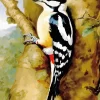 Cool Great Spotted Woodpecker Diamond Painting