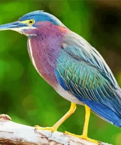 Cool Green Heron Birds Diamond Painting