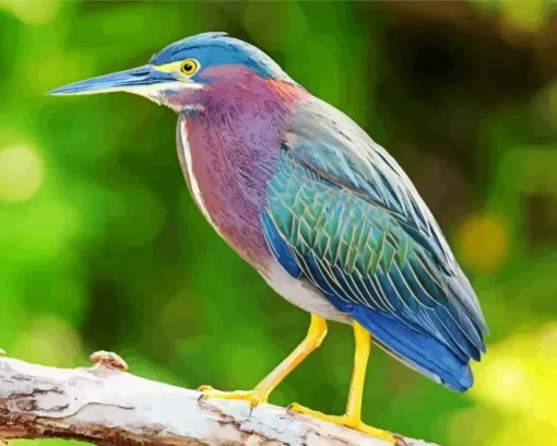 Cool Green Heron Birds Diamond Painting