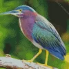 Cool Green Heron Birds Diamond Painting