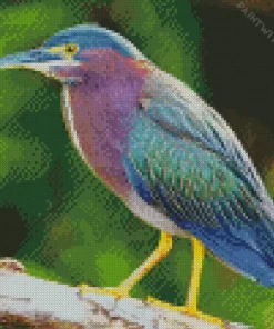 Cool Green Heron Birds Diamond Painting