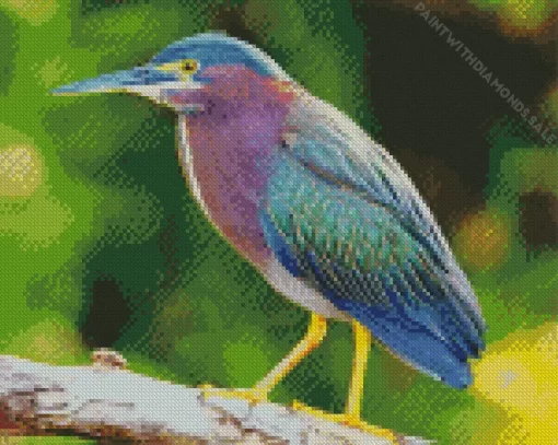 Cool Green Heron Birds Diamond Painting