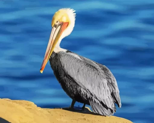 Cute Brown Pelican Diamond Painting