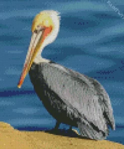 Cute Brown Pelican Diamond Painting