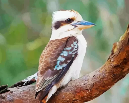 Cute Kookaburra Diamond Painting