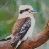 Cute Kookaburra Diamond Painting