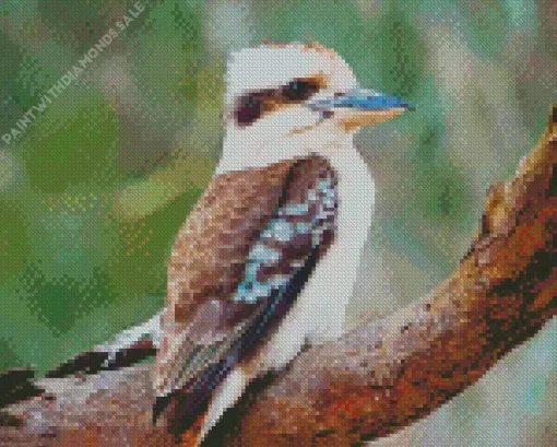 Cute Kookaburra Diamond Painting