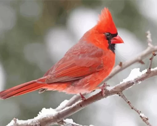 Cute Cardinal Bird Diamond Painting