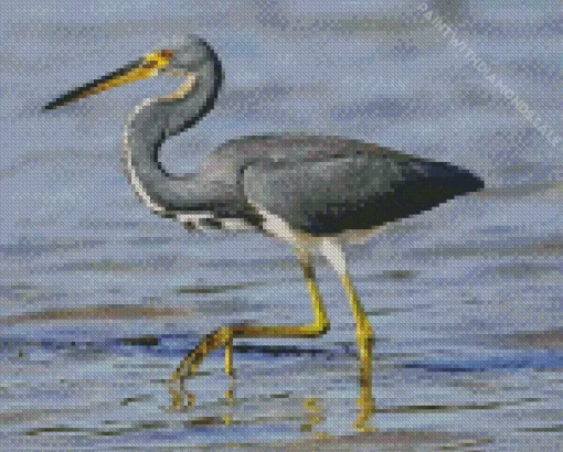 Cute Tricolored Heron Diamond Painting