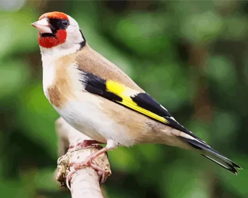 European Goldfinch Diamond Painting