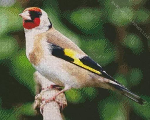 European Goldfinch Diamond Painting