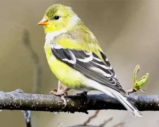 Female American Goldfinch Diamond Painting