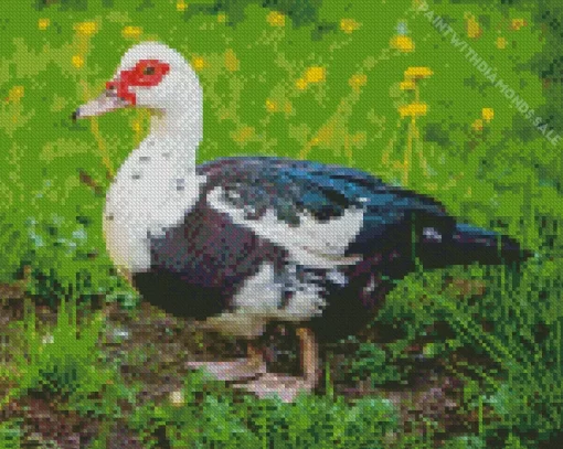 Female Muscovy Duck Diamond Painting